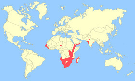 Lesser Flamingo Map