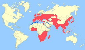 Common Moorhen Map