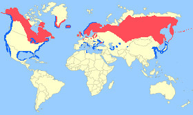 Red-breasted Merganser Map